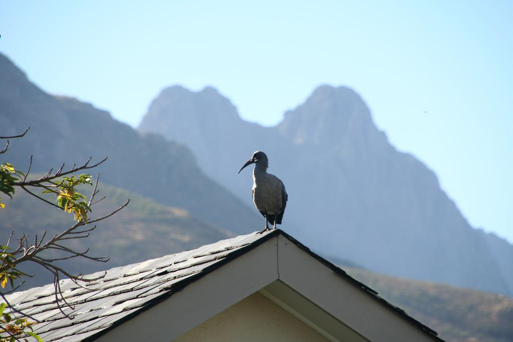 Keren'S Vine Guesthouse Stellenbosch Exterior photo